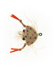 Floating Crab