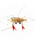 Soft Shell Crab