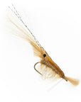 Grass Shrimp