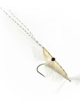 Grass Shrimp