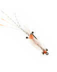 Spawning Shrimp