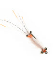 Spawning Shrimp