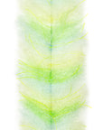 EP® Crustaceous Brush