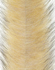 EP® Foxy Brush