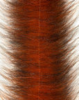 EP® Senyo Chromatic Brush