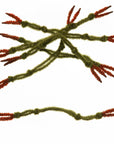 EP® Crab Claw
