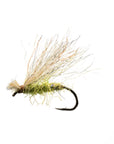 Caddis