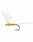 Sulphur - Split Wing