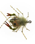 EP® Descendent Crab - Olive