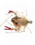 EP® Descendent Crab - Tan