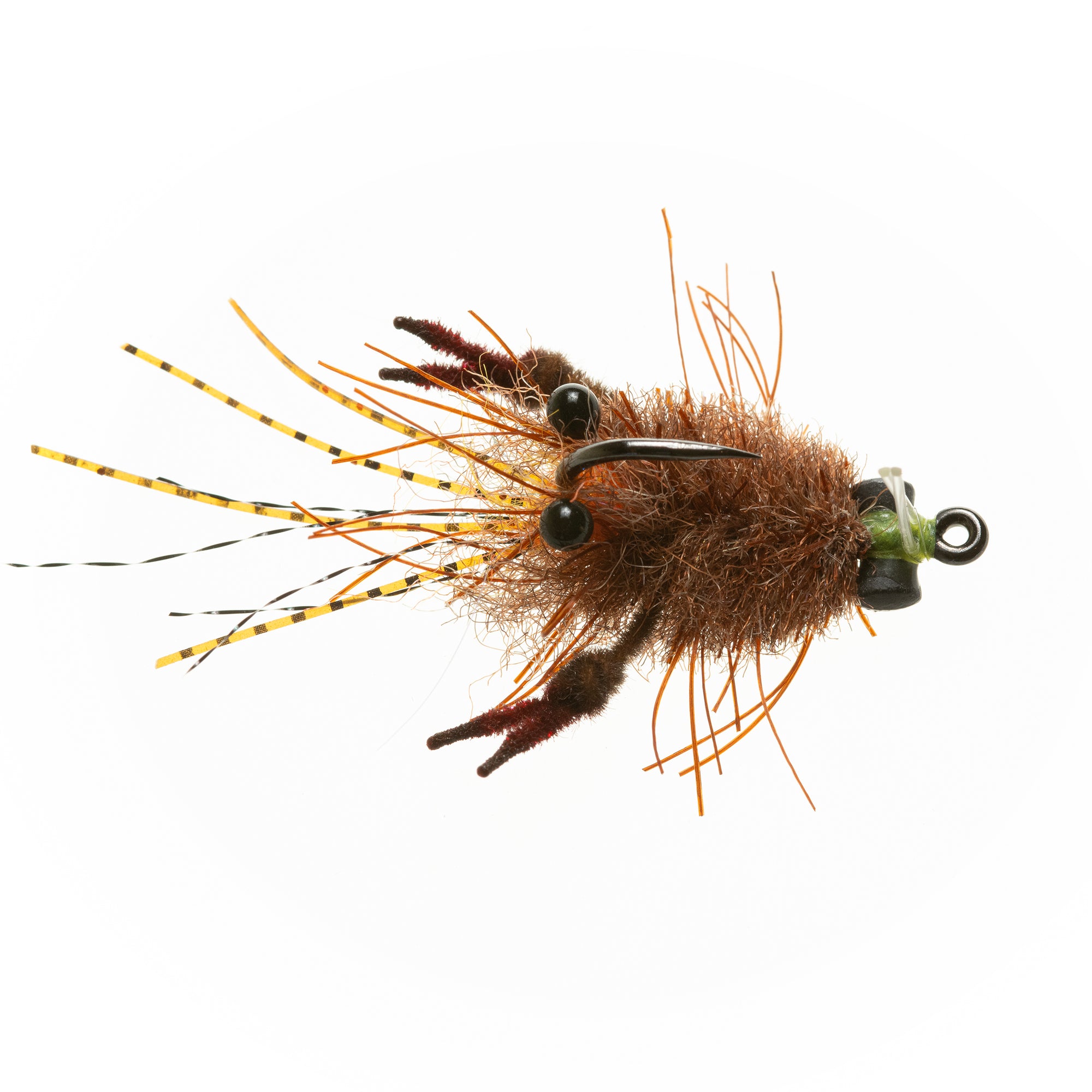 EP® Tarantula Crab - Mottled Brown - #1