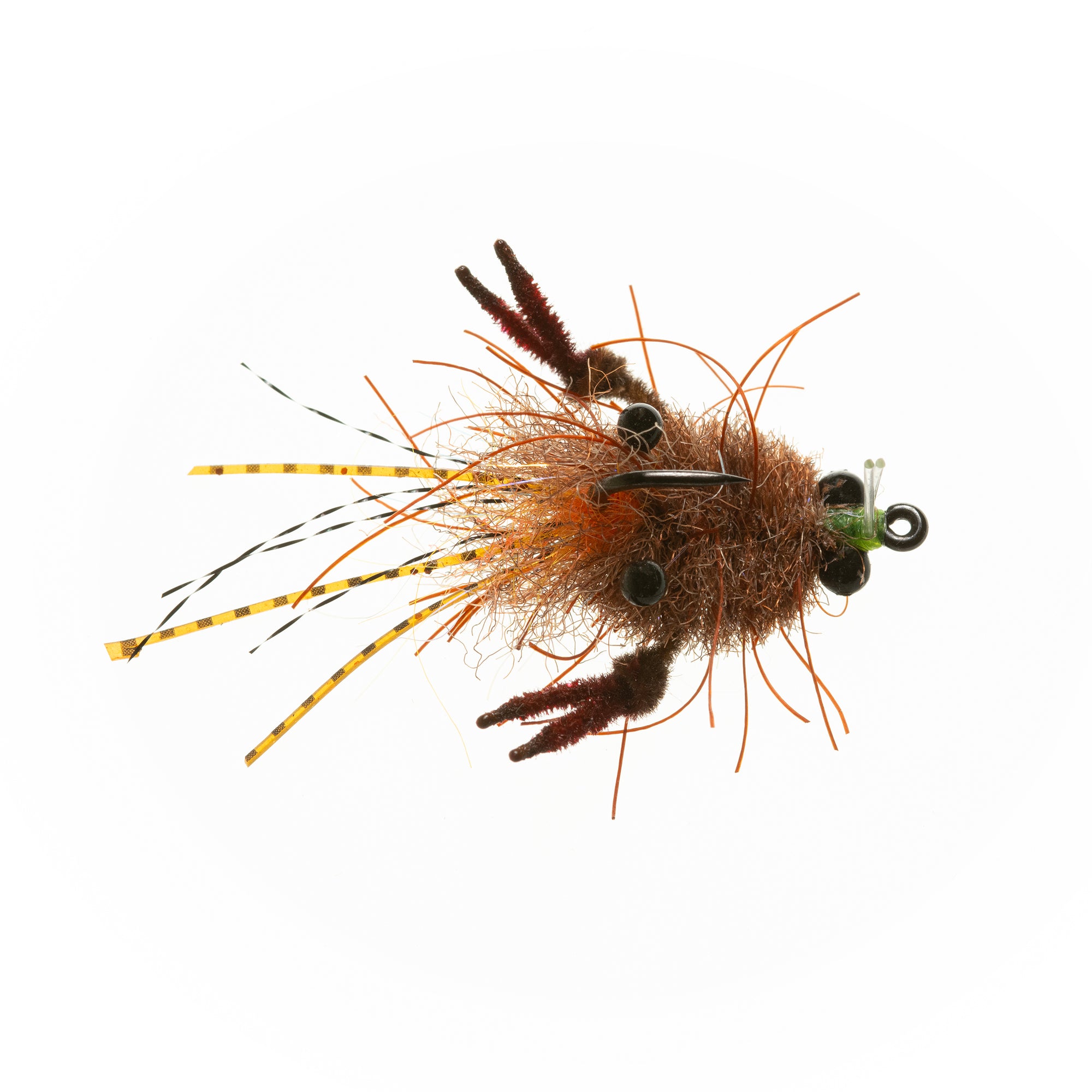 EP® Tarantula Crab - Mottled Brown - #2
