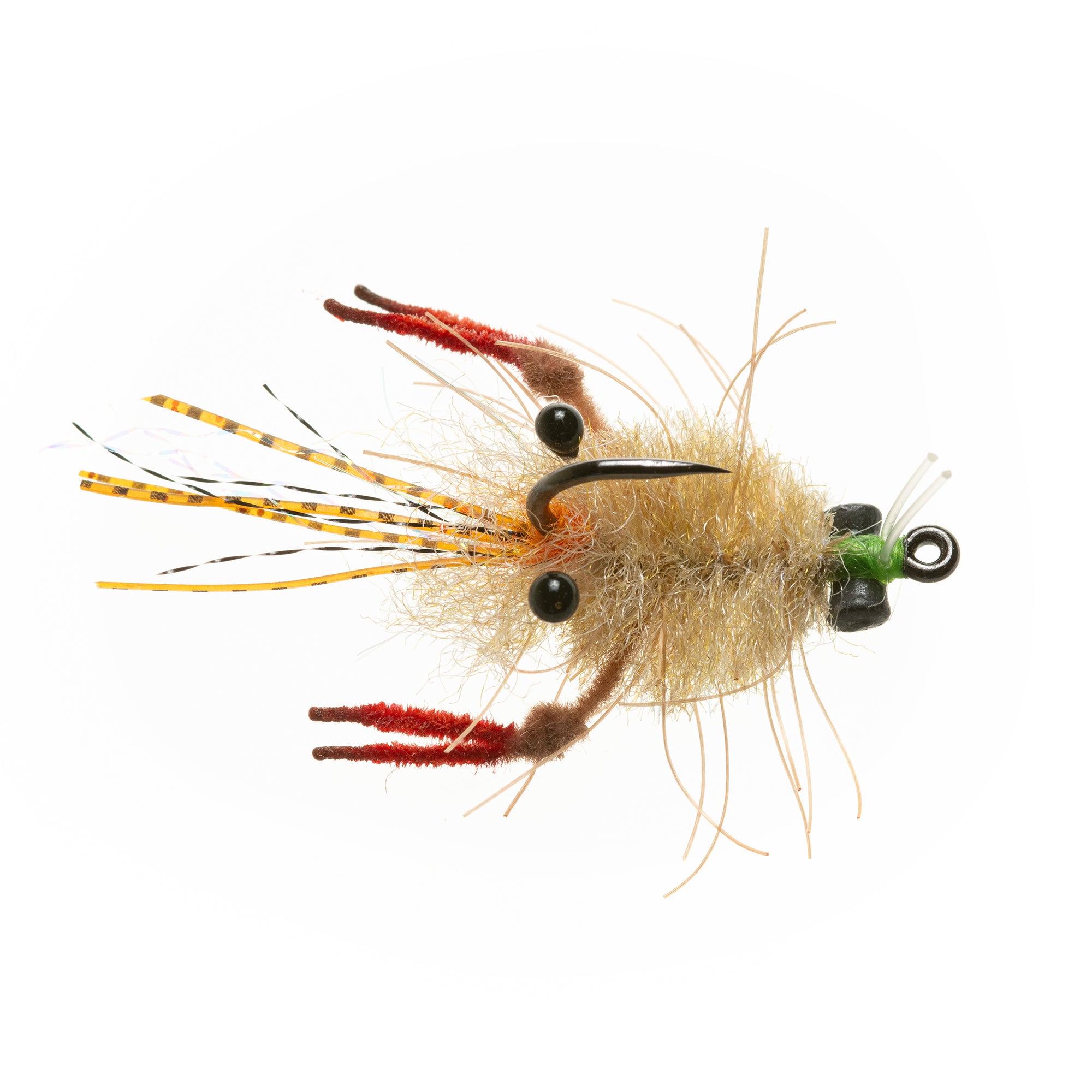 EP® Tarantula Crab - Mottled Tan - #1