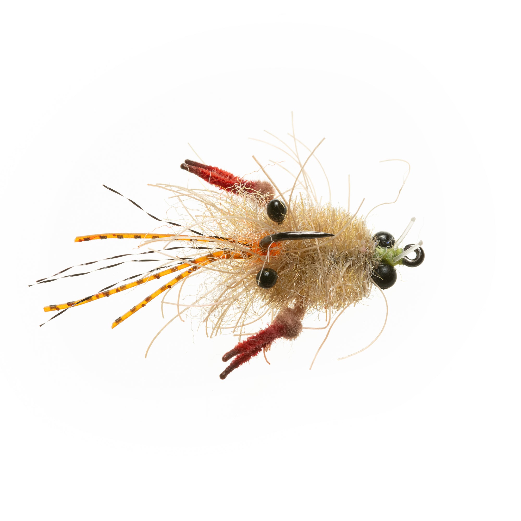 EP® Tarantula Crab - Mottled Tan - #2