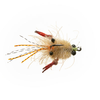 EP® Tarantula Crab - Mottled Tan - #2