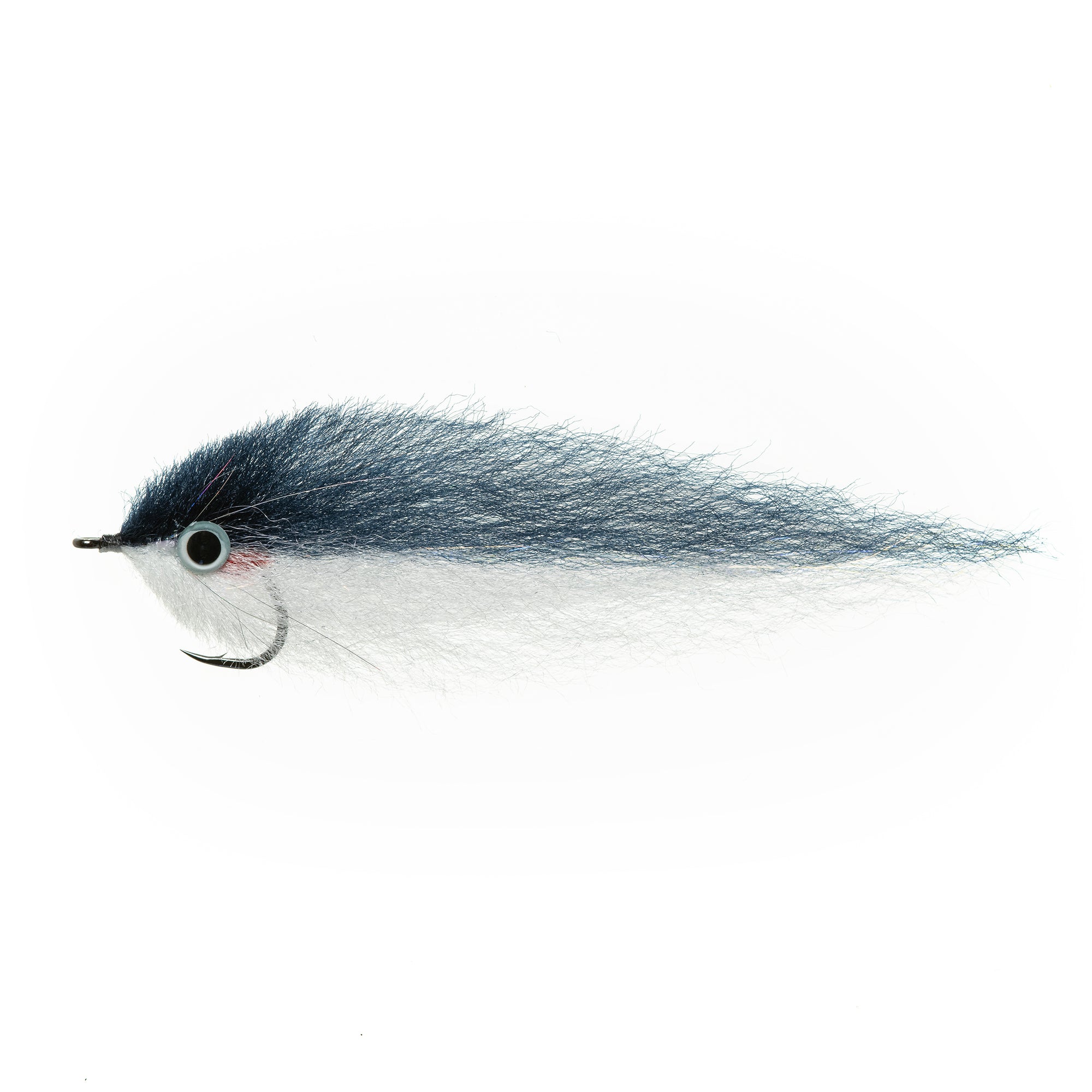 EP® Sardina