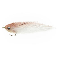 Sardina Tan