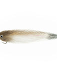 Roosterfish