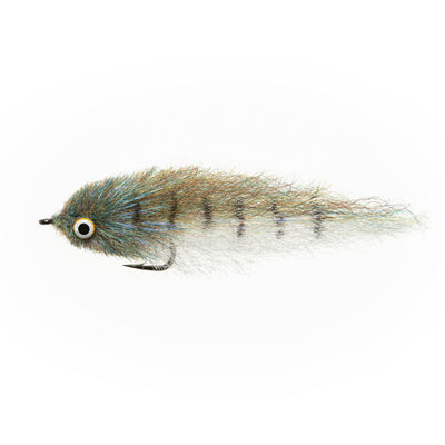 Little Minnow Shaded