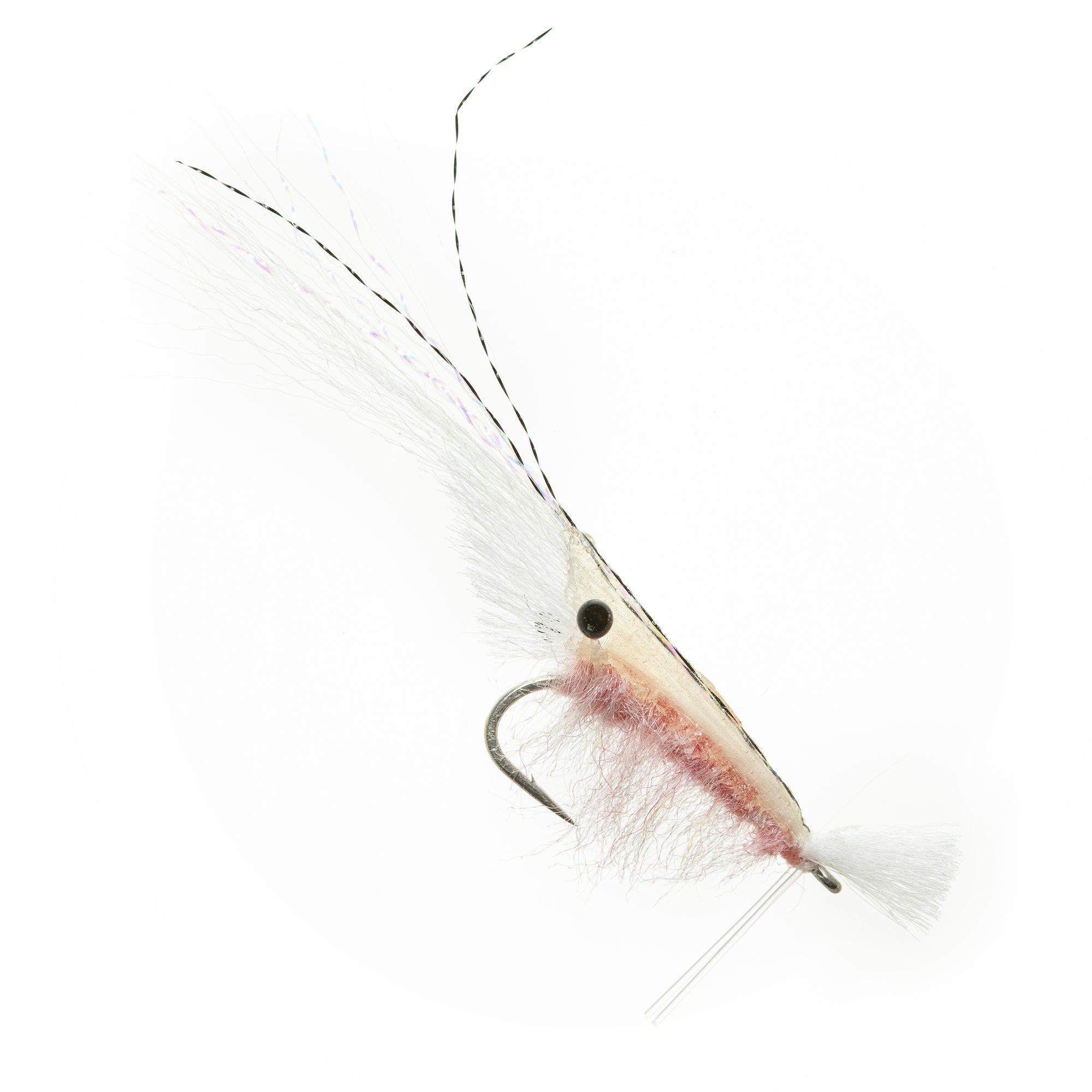 Grass Shrimp