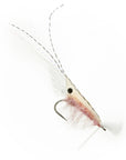 Grass Shrimp
