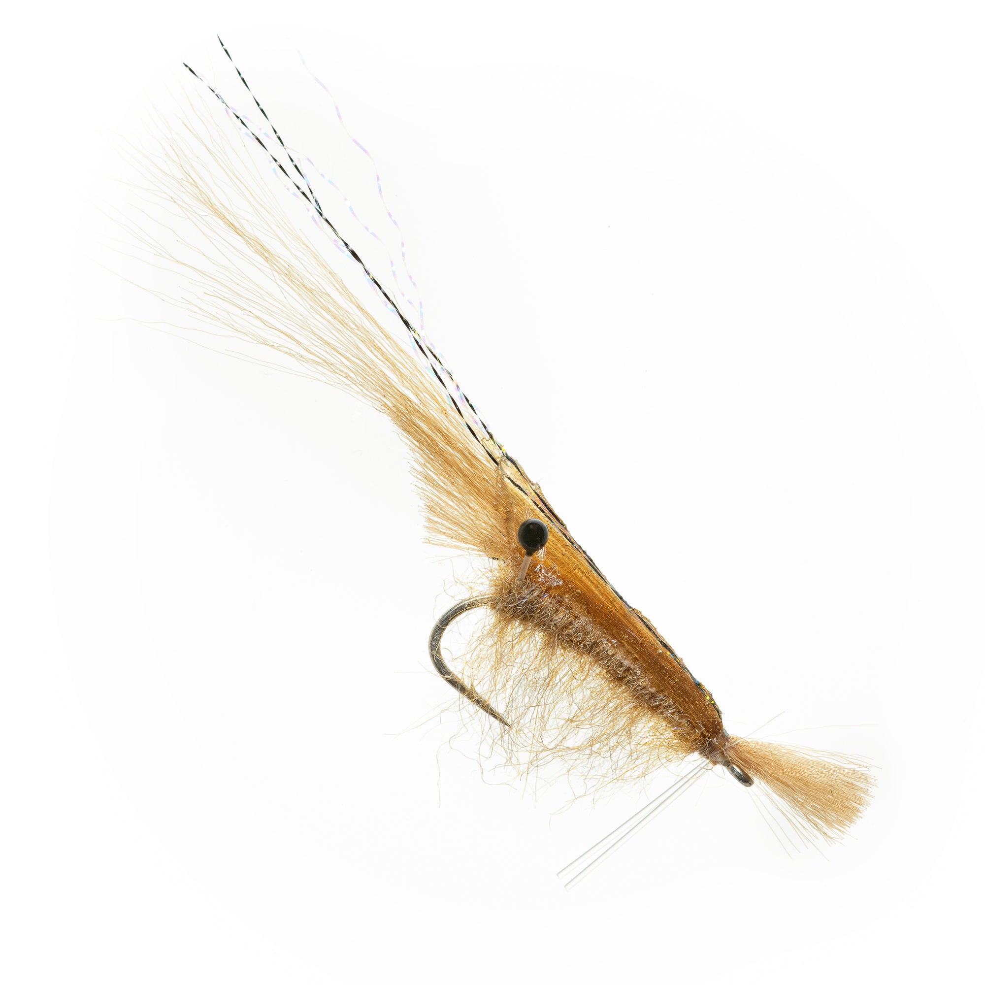 Grass Shrimp