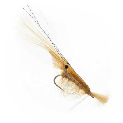 Grass Shrimp