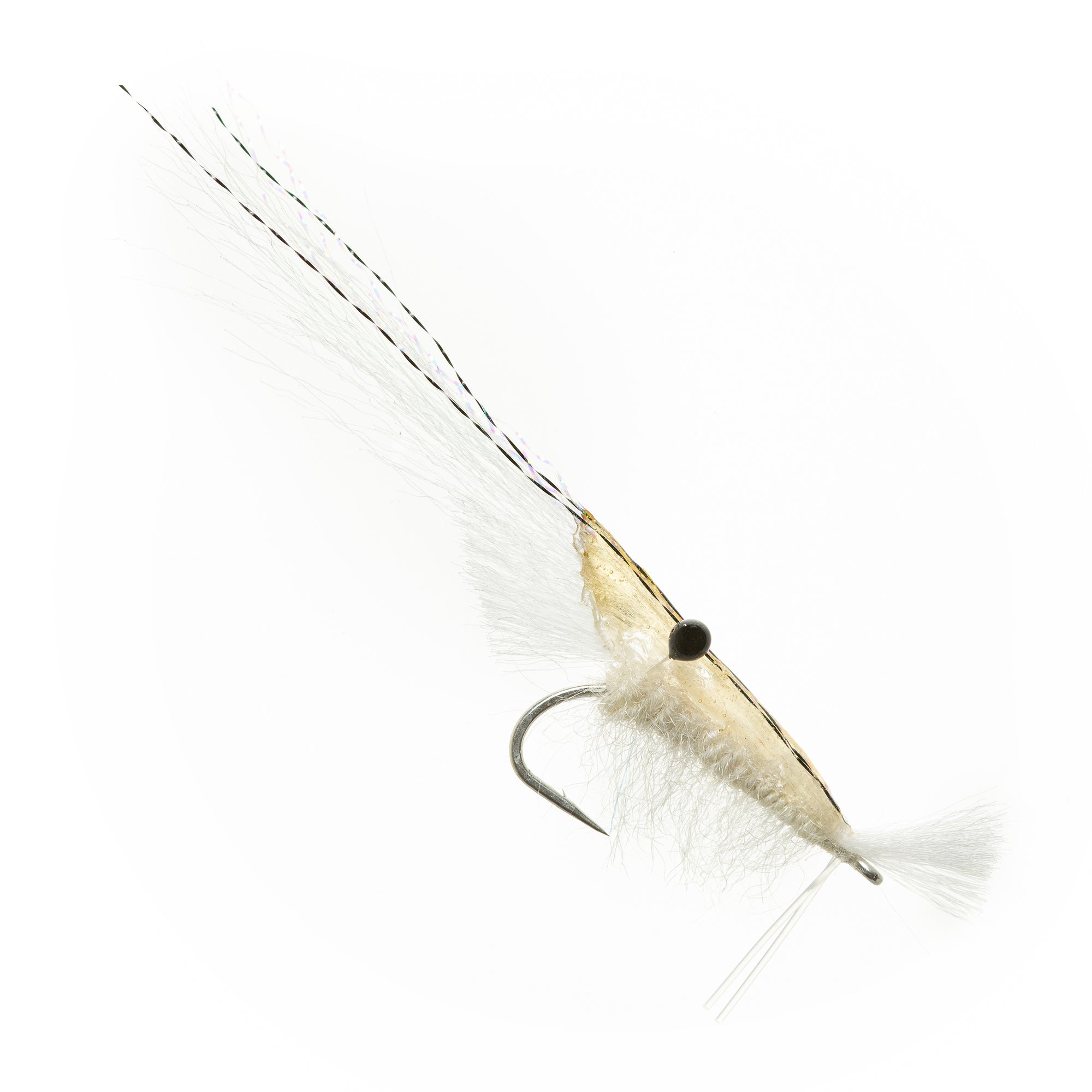 Grass Shrimp