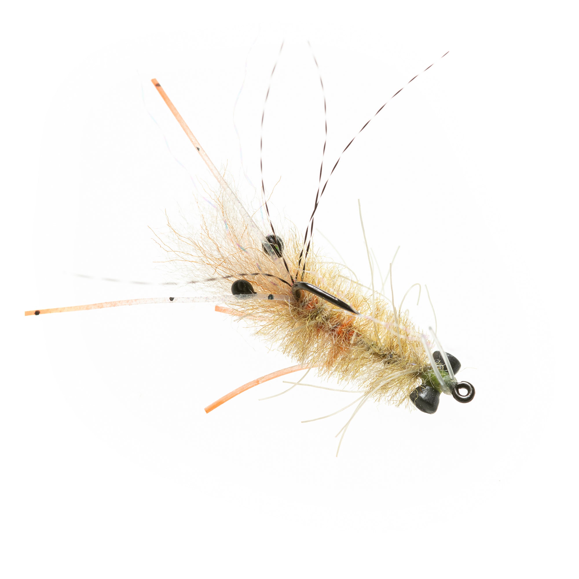 EP® Mantis Shrimp - Tan