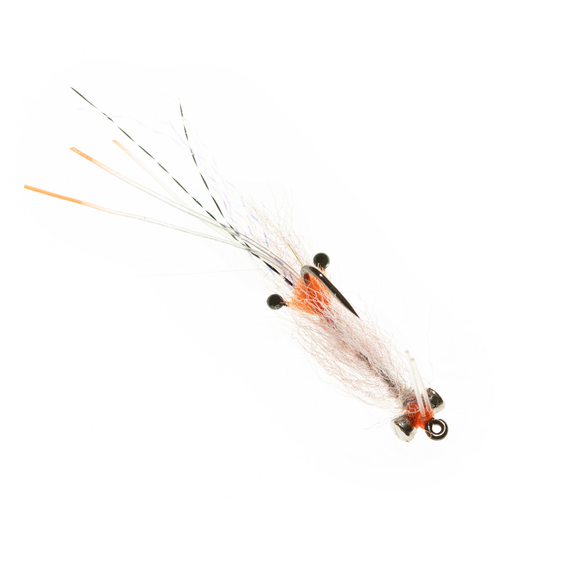 Spawning Shrimp