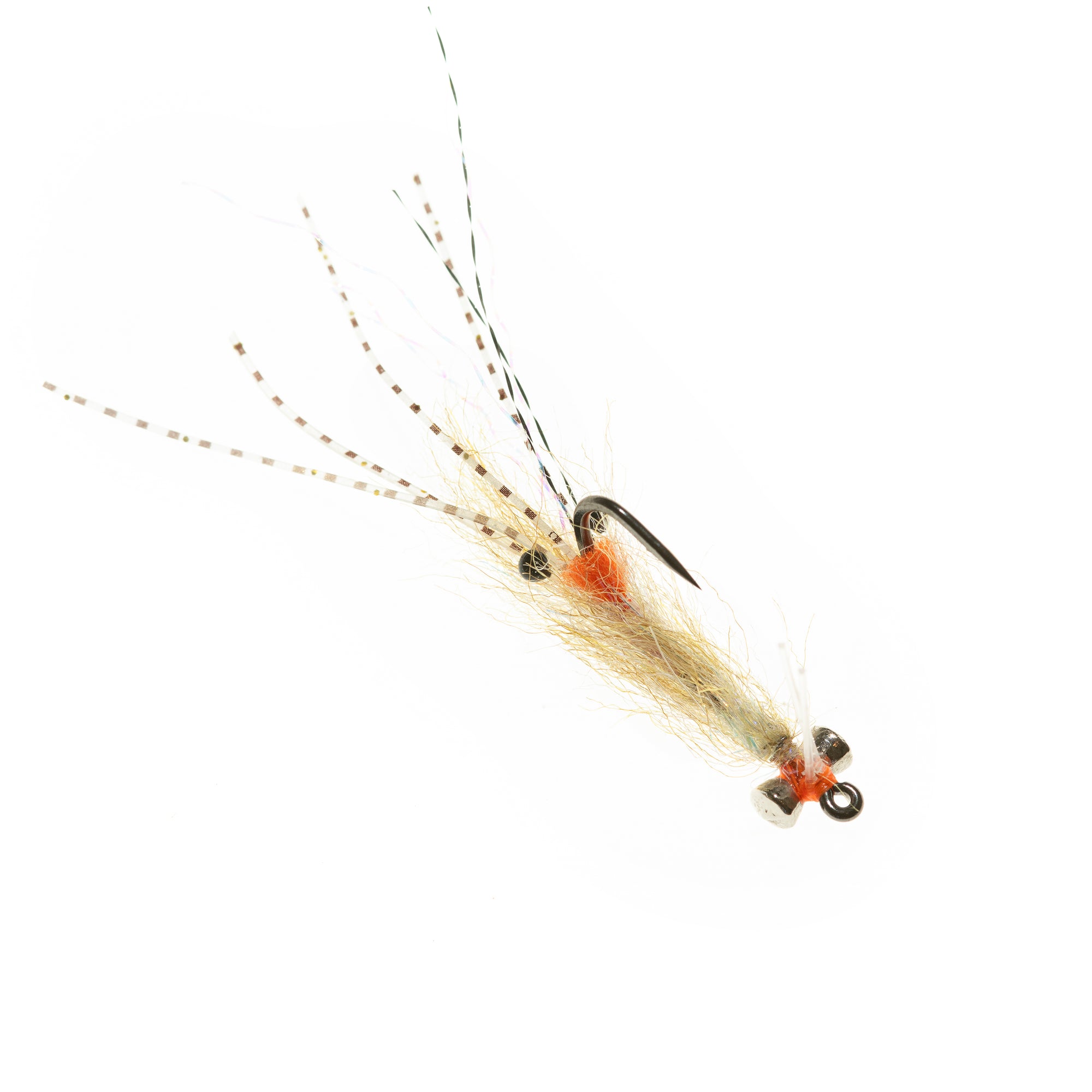 Spawning Shrimp