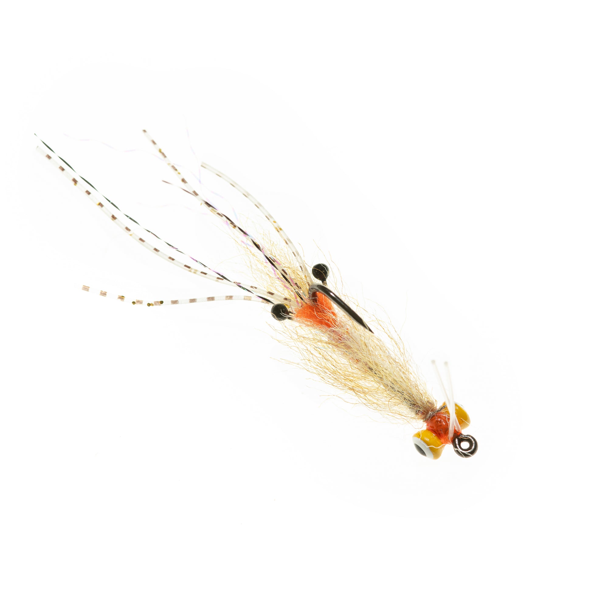 Spawning Shrimp