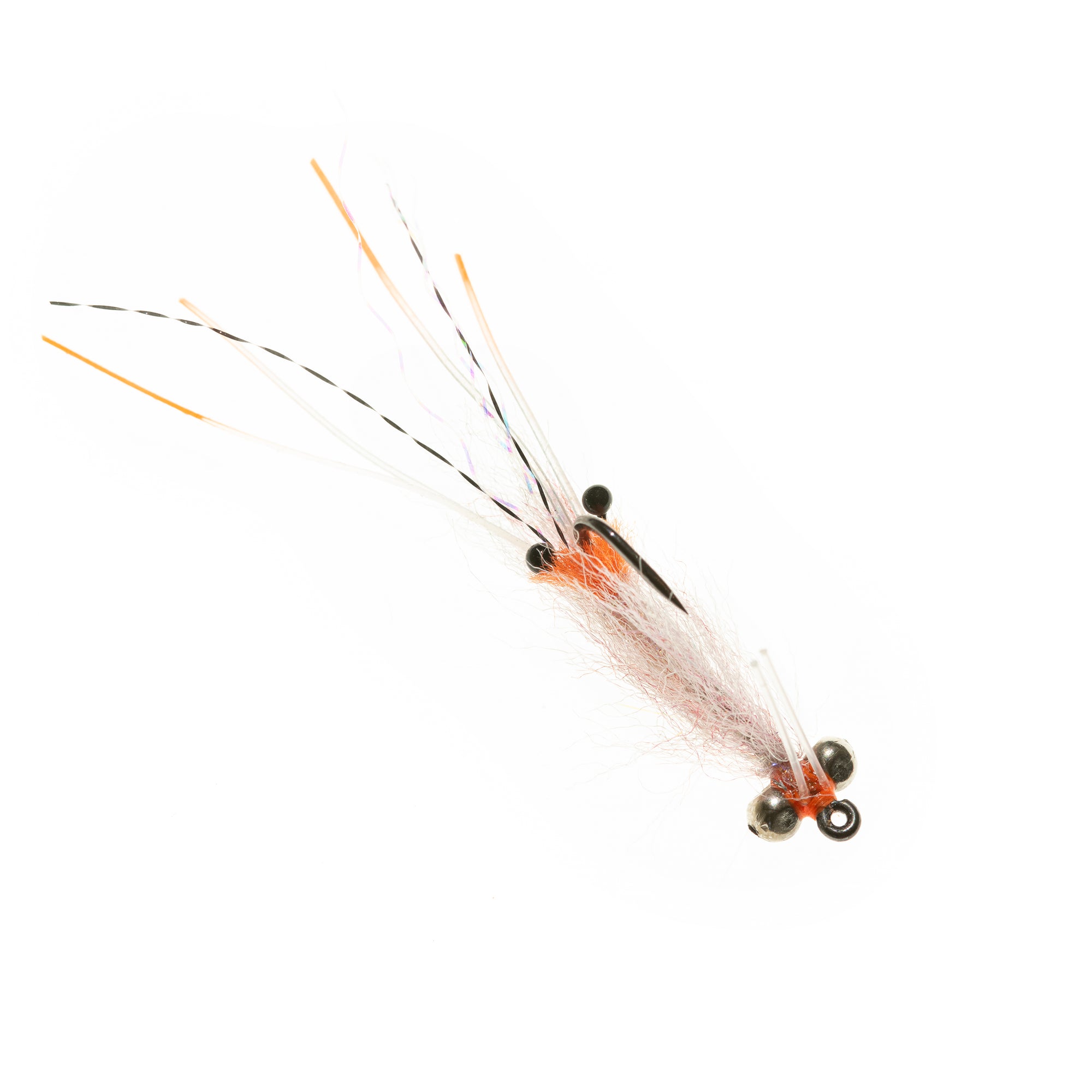 Spawning Shrimp