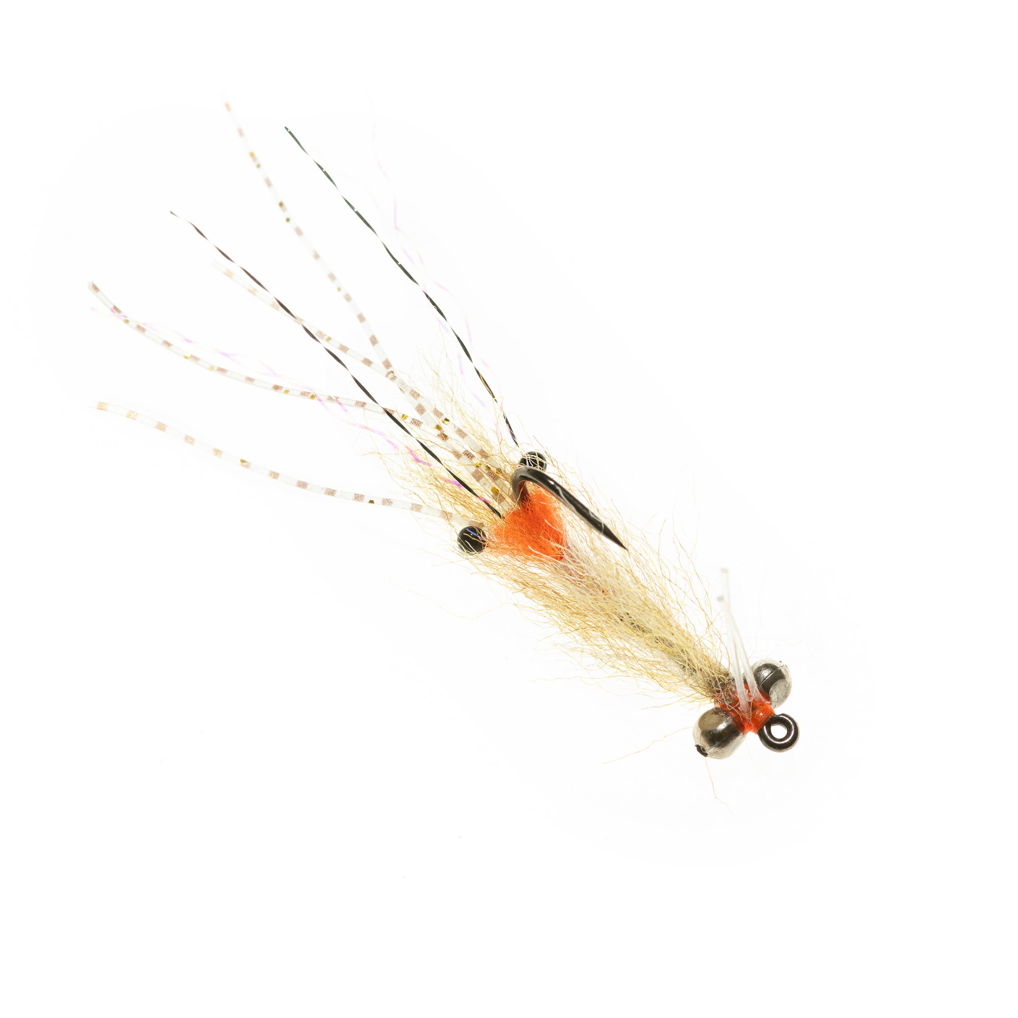 Spawning Shrimp