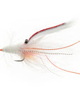 Tarpon Special