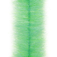 Grass Shrimp