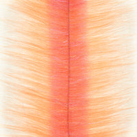 Shrimp Pink / Pink - New!