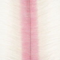 White / Shrimp Pink - New!
