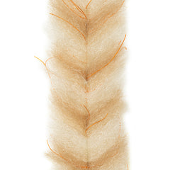EP® Crustaceous Brush