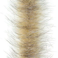 Coyote