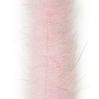 Fl Shrimp Pink