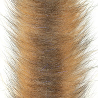 Red Fox