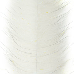 EP® Foxy Brush - 3" - White