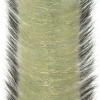 Grey Olive