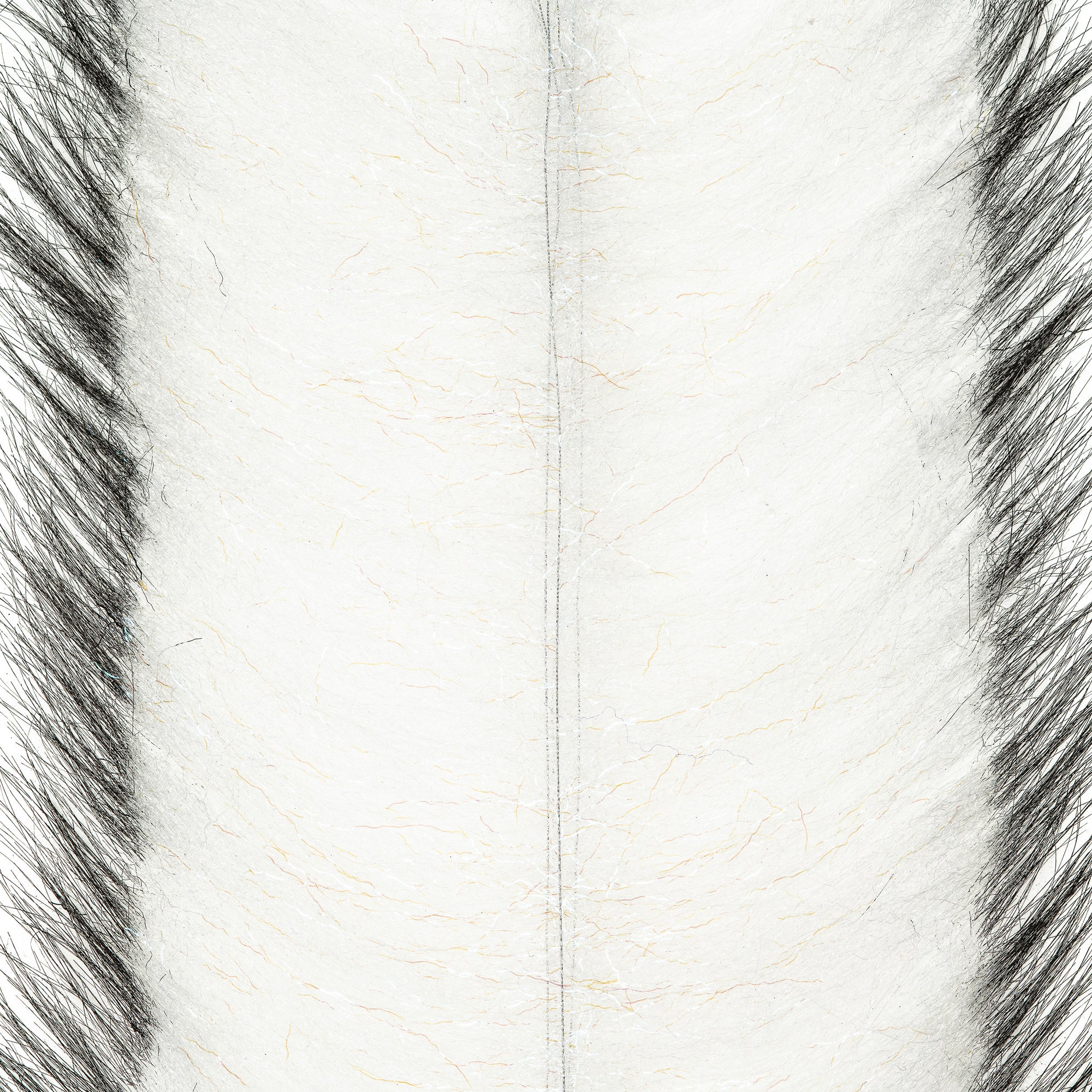EP® Invader Brush