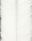 EP® Invader Brush