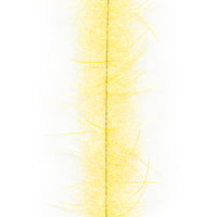 Egg Yolk