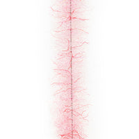 Shrimp Pink