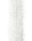 EP® Tarantula Brush