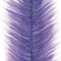 Violet Crystalline